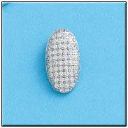 COLGANTE CIRCONITAS PLATA 925MM 